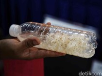 Polri dan KKP Gagalkan Penyelundupan Benih Lobster di Bogor