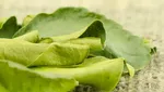 10 Rempah Termahal di Dunia, Harganya Rp 37 Juta per 450 Gram!