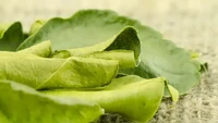 Kebutuhan daun jeruk di Asia Tenggara begitu tinggi, baik untuk hidangan sup, tumisan, nasi, dan berbagai hidangan lain. Di beberapa negara, daun jeruk kering dijual sebagai rempah mahal Rp 3,7 juta per 450 gram. Foto: Wealthy Gorilla