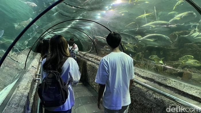 Sea World Ancol, Jakarta