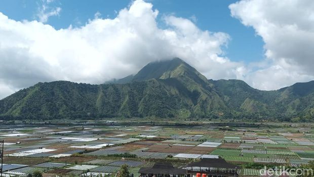 Sembalun di Lombok Utara, NTB (Husna Putri Maharani/detikBali)