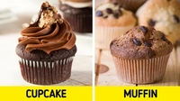 Cupcake dan muffin mungkin bentuknya mirip, tapi dari segi bahan dan rasa tentu dua kue ini punya rasa yang berbeda. Foto: Pool/Site