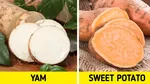 Serupa Tapi Tak Sama, 10 Makanan Kembar Ini Sering Dikira Makanan yang Sama