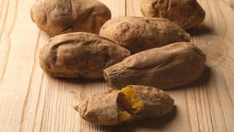 Viral Tren Ubi Cilembu-Yogurt Buat Diet, Betulan Ngefek? Ini Kata Dokter Gizi