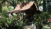 Suasana begitu asri di Hutan De Djawatan.