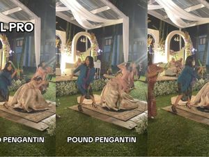 Viral Pernikahan Anti Mainstream, Pengantin Wanita Pound Fit Bareng di Resepsi