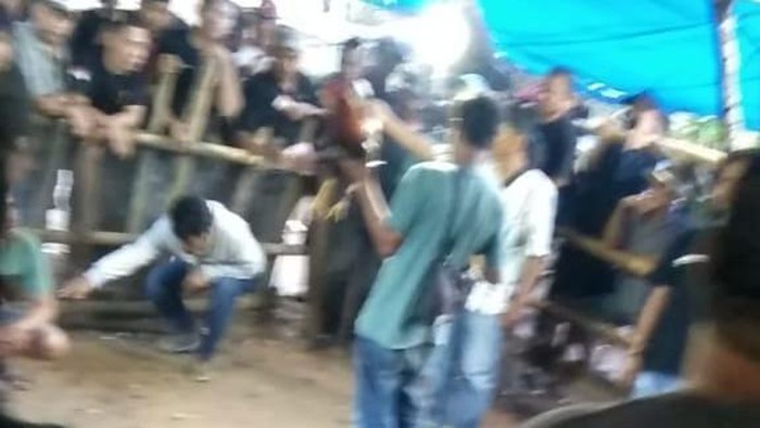 Aktivitas judi sabung ayam di Gattugeng, Desa Pallawa, Kecamatan Tellulimpoe, Bone.