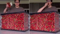 Gokil! Pria Ini Berhasil Habiskan Strawberry dalam Akuarium 100 Liter