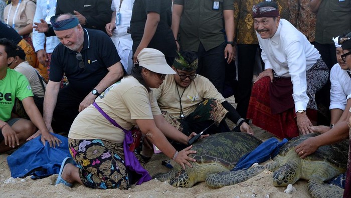 Momen Luhut Ikut Lepas Penyu dalam Rangkaian Acara WWF di Bali Menko Marves Luhut Binsar Pandjaitan (kanan) dan Presiden World Water Council Loic Fauchon (kiri) melepas penyu saat acara Balinese Water Purification Ceremony rangkaian World Water Forum ke-10 di Kawasan Ekonomi Khusus (KEK) Kura-Kura Bali, Denpasar, Bali, Sabtu (18/5/2024). ANTARA FOTO/Media Center World Water Forum 2024/Fikri Yusuf/tom.