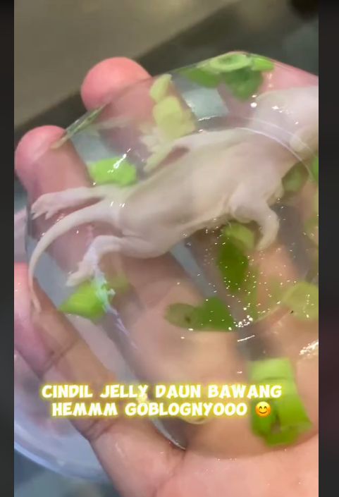 Ngeri! Pria Ini Bikin Jelly dengan Isian Bayi Tikus