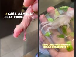 Ngeri! Pria Ini Bikin Jelly dengan Isian Bayi Tikus