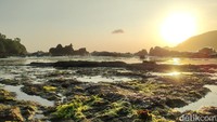 Tak hanya itu, pemandangan megah bebatuan tersebut tampak semakin memanjakan mata dengan beberapa permukaannya tertutupi lumut hijau. Lumut dan rumput laut juga tampak terbawa ombak hingga bibir pantai.