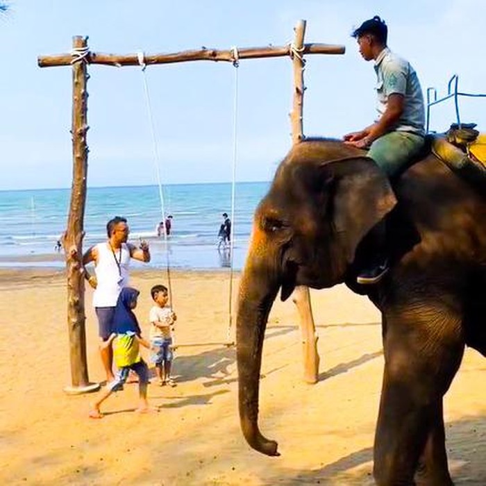 Taman Safari Beach Jateng