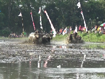 Seru! Tradisi Karapan Kerbau Lumajang di Area Sawah yang Berhadiah Motor