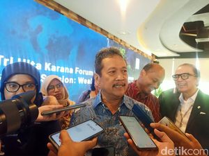 Pemijahan Lobster Sulit, KKP Gandeng Perguruan Tinggi untuk Riset