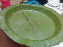 Mahasiswa Surabaya Bikin Piring dari Daun Jati, Limbahnya Bisa Jadi Pupuk