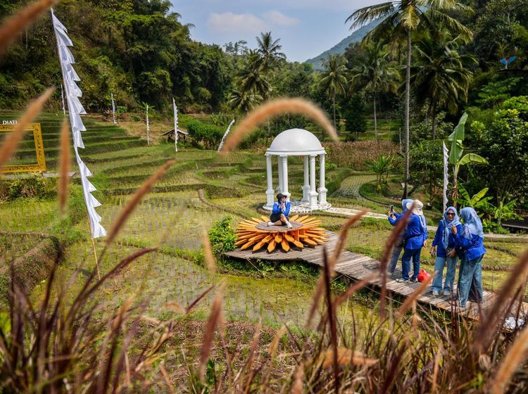 Syahdunya Wisata Alam di Persawahan Garut