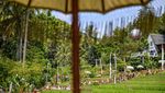 Syahdunya Wisata Alam di Persawahan Garut
