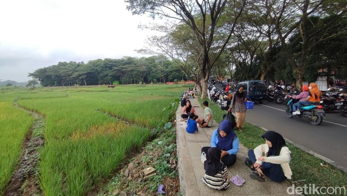 Warga Ciamis pengunjung Pasar BMX Cigembor ramai-ramai santap jajanan dan sarapan di pinggir sawah di trotoar.