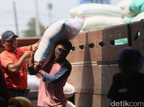Bulog Targetkan Bisa Serap 600.000 Ton Beras Petani