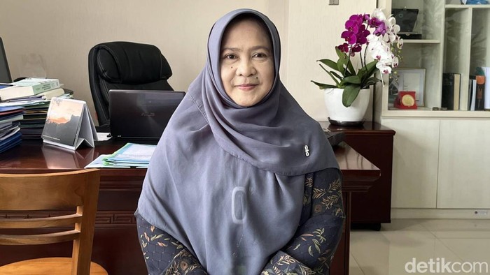 Dirjen Pengendalian Perubahan Iklim (PPI) Kementerian Lingkungan Hidup dan Kehutanan Laksmi Dewanthi. (detikcom)