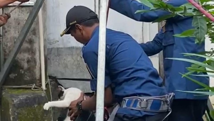 Tim Damkar Klaten evakuasi kucing masuk sumur.