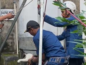 Byurr! Kucing Persia Nyemplung Sumur Masjid di Klaten