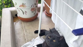 Kenapa? Nggak suka? Foto: skeletonharvester79 via Bored Panda