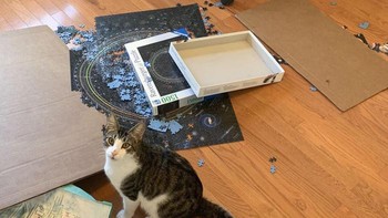 Padahal cuma ninggalin pintu ruang kerja terbuka selama semenit. Sudah sekacau ini. Foto: UGiveMeAhadron via Bored Panda