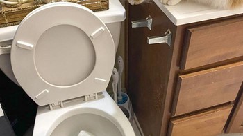 Lah, cuma dilihat doang. Foto: GoldenDog1112