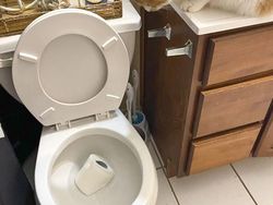 Kumpulan Kucing Berulah, Babu Cuma Bisa Ngelus Dada