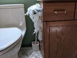 Kumpulan Kucing Berulah, Babu Cuma Bisa Ngelus Dada