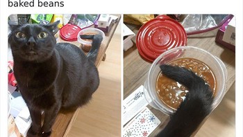 Itu masih panas, loh. Foto: swiffbridgers via Bored Panda