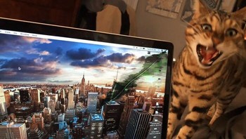MacBooknya digigit kucing. Sampai begini. Foto: bangalguy via Bored Panda