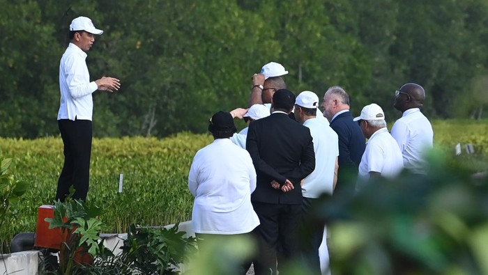 Menteri Energi dan Infrastruktur Persatuan Emirat Arab Suhail Mohamed Al Mazroui memotret tanaman mangrove saat mengunjungi persemaian dan pembibitan pohon mangrove dalam rangkaian kegiatan KTT World Water Forum ke-10 2024 di Taman Hutan Raya (Tahura) Ngurah Rai, Denpasar, Bali, Senin (20/5/2024). ANTARA FOTO/Media Center World Water Forum 2024/Nova Wahyudi /tom.