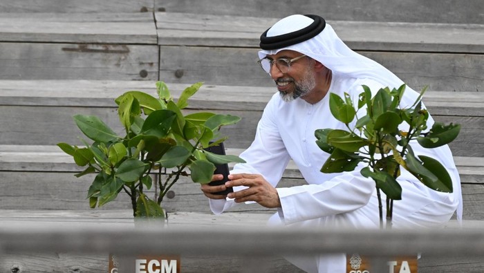 Menteri Energi dan Infrastruktur Persatuan Emirat Arab Suhail Mohamed Al Mazroui memotret tanaman mangrove saat mengunjungi persemaian dan pembibitan pohon mangrove dalam rangkaian kegiatan KTT World Water Forum ke-10 2024 di Taman Hutan Raya (Tahura) Ngurah Rai, Denpasar, Bali, Senin (20/5/2024). ANTARA FOTO/Media Center World Water Forum 2024/Nova Wahyudi /tom.