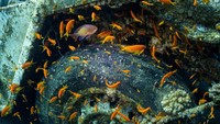 Pariwisata merupakan salah satu sumber utama mata uang asing dan menyumbang sekitar 10 persen PDB negara tersebut.  