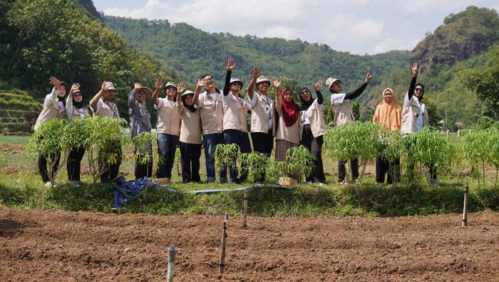 Pengembangan Desa Pertanian dan Wisata Terintegrasi di Sriharjo Anggota Holding BUMN Danareksa PPA dan JIEP menyelenggarakan rangkaian kegiatan Relawan Bakti BUMN. Kegiatan ini diharapkan dapat mendukung pemberdayaan masyarakat.