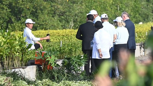 Presiden Jokowi mengajak para delegasi WWF ke-10 mengunjungi mangrove di Tahura Ngurah Rai, Denpasar, Bali, Senin (20/5/2024). (Media Center World Water Forum 2024/Wahdi Septiawan/nym)