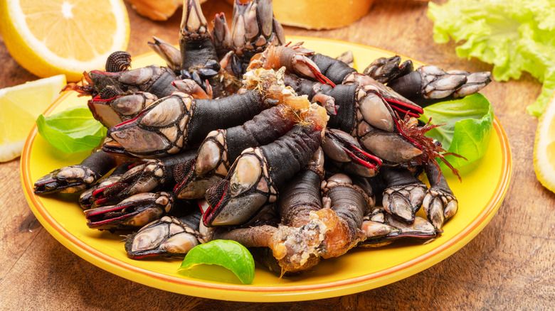 seafood