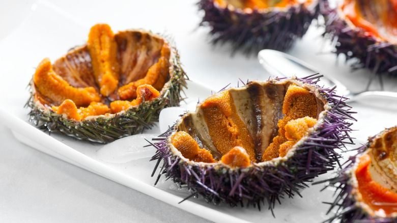 seafood