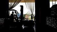 Serapan gabah tersebut berasal dari petani langsung maupun penggilingan padi sejak masa panen raya berlangsung.   