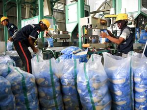 Respons Pengusaha Beras soal Prabowo Naikkan HPP Gabah Jadi Rp 6.500/Kg