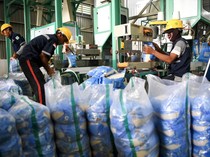 Serapan Beras Tembus 535 Ribu Ton, Ini Potret Sentra Penggilingan Padi Bulog