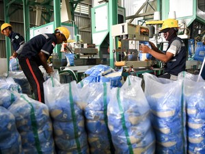 Respons Pengusaha Beras soal Prabowo Naikkan HPP Gabah Jadi Rp 6.500/Kg