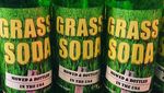 10 Soda dengan Rasa Paling Ekstrem di Dunia, Tertarik Mencicipi?