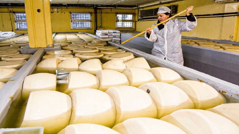 Tak Segurih Rasanya, Proses Pembuatan Keju Parmesan Bikin Ngeri