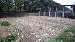 Sampah Menumpuk di Anak Sungai Cisadane