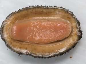 Jenis Daging Hewan Termahal hingga Harga Makanan Kaki Lima di Singapura Naik