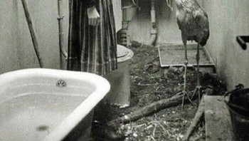 Pada November 1943, Kebun Binatang Berlin dibom Pasukan Sekutu saat Perang Dunia II. Dalam beberapa menit, 30% populasi kebun binatang mati. Meski terjadi kekacauan, para penjaga mempertaruhkan nyawa untuk menyelamatkan hewan yang panik. Foto: Boredpanda